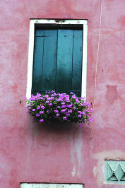 Типичный «сад» венецианца: в городе, где практически нет земли, под цветы используется каждый квадратный сантиметр