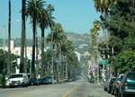 Лос-Анджелес — город с очень небольшой плотностью населения, так как большинство горожан живет в огромных виллах вдоль вот таких «банановых» улиц | Золотое кольцо США