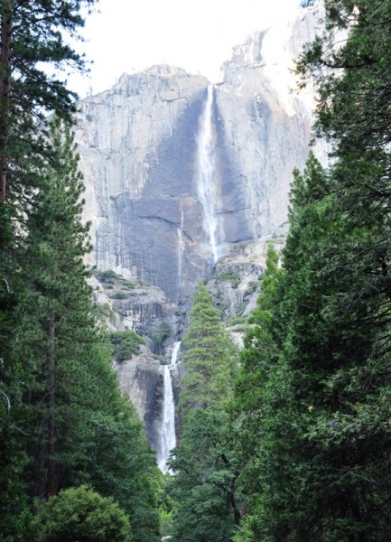 Йосемитские водопады (Верхний и Нижний) – самые высокие (740 м) в Северной Америке 