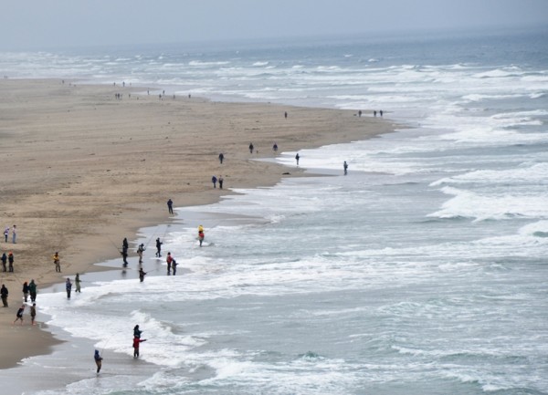 Океан в Сан-Франциско холодный и желающих купаться нет даже в середине июля