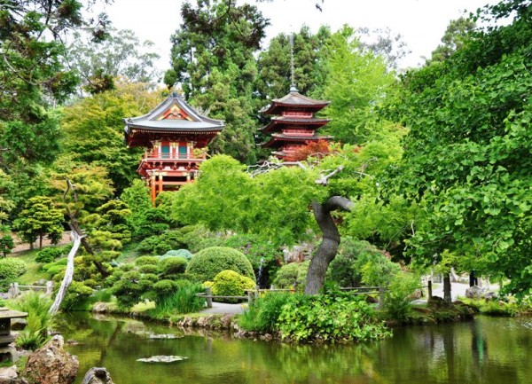 Японский чайный сад в парке Голден Гейт