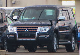 Pajero Field Guard