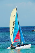 Багамы-2008
