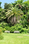 Ботанические сады США